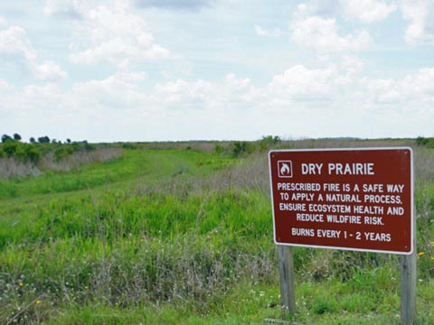 Kissimeee Prairie Preserve State Park, Florida eco-hiking