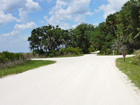 Kissimeee Prairie Preserve State Park, Florida eco-hiking