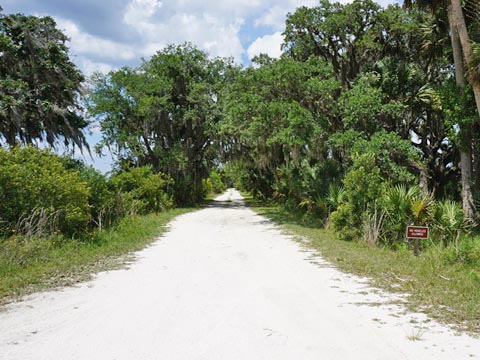 Kissimeee Prairie Preserve State Park, Florida eco-hiking