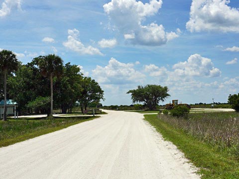 Kissimeee Prairie Preserve State Park, Florida eco-hiking