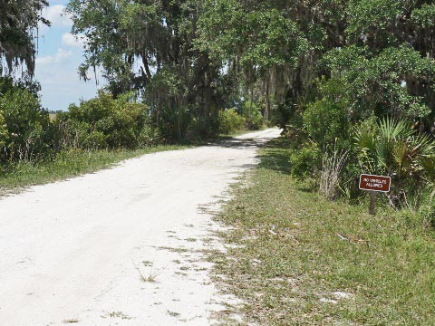 Kissimeee Prairie Preserve State Park, Florida eco-hiking