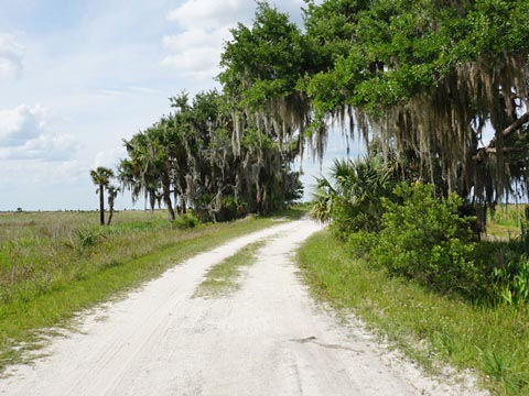 Kissimeee Prairie Preserve State Park, Florida eco-hiking