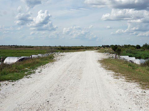 Kissimeee Prairie Preserve State Park, Florida eco-hiking