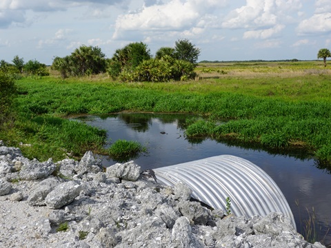 Kissimeee Prairie Preserve State Park, Florida eco-hiking