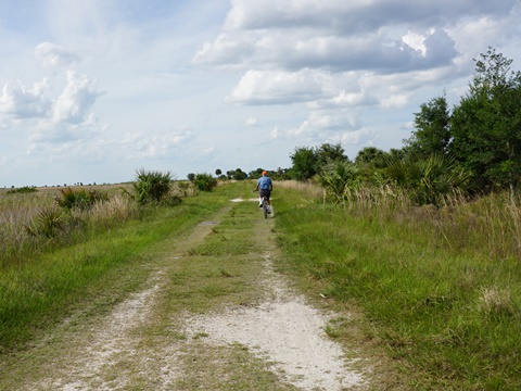 Kissimeee Prairie Preserve State Park, Florida eco-hiking