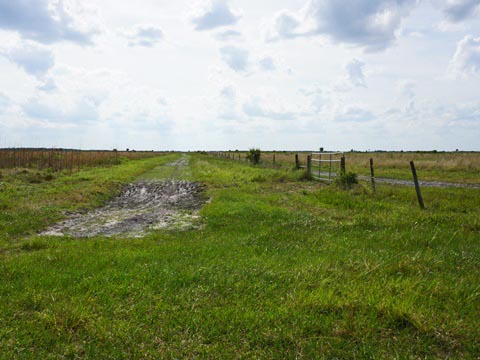 Kissimeee Prairie Preserve State Park, Florida eco-hiking