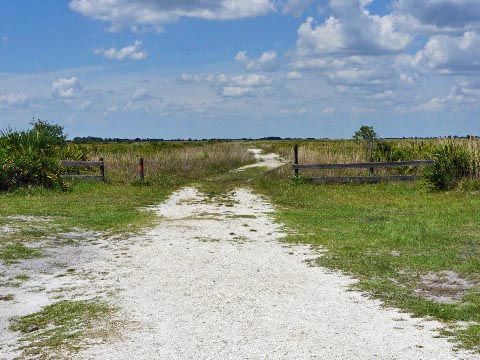 Kissimeee Prairie Preserve State Park, Florida eco-hiking