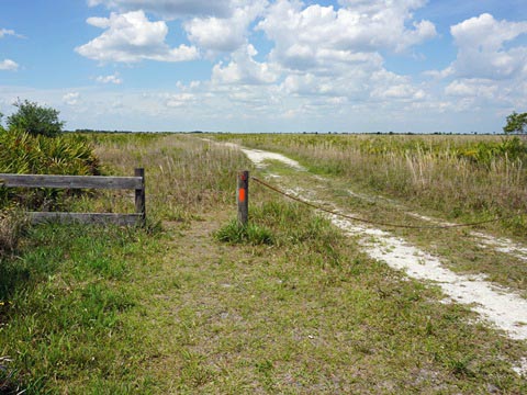 Kissimeee Prairie Preserve State Park, Florida eco-hiking