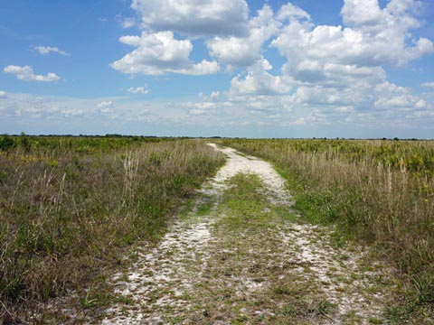 Kissimeee Prairie Preserve State Park, Florida eco-hiking