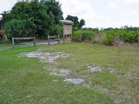 Kissimeee Prairie Preserve State Park, Florida eco-hiking