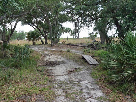 Kissimeee Prairie Preserve State Park, Florida eco-hiking