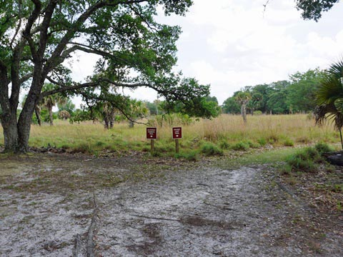 Kissimeee Prairie Preserve State Park, Florida eco-hiking