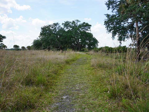 Kissimeee Prairie Preserve State Park, Florida eco-hiking