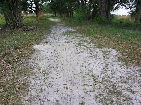 Kissimeee Prairie Preserve State Park, Florida eco-hiking