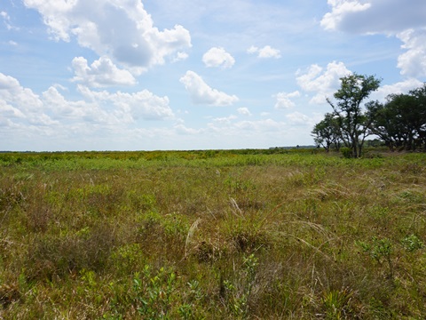 Kissimeee Prairie Preserve State Park, Florida eco-hiking