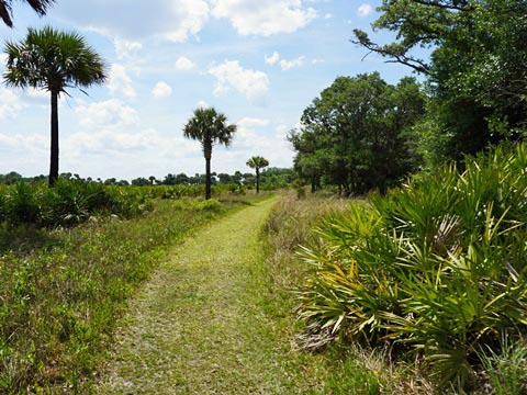 Kissimeee Prairie Preserve State Park, Florida eco-hiking