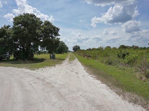 Kissimeee Prairie Preserve State Park, Florida eco-hiking