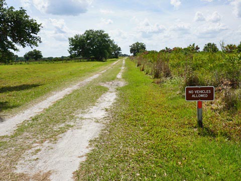 Kissimeee Prairie Preserve State Park, Florida eco-hiking