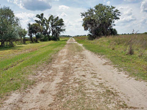 Kissimeee Prairie Preserve State Park, Florida eco-hiking