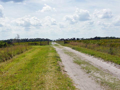 Kissimeee Prairie Preserve State Park, Florida eco-hiking