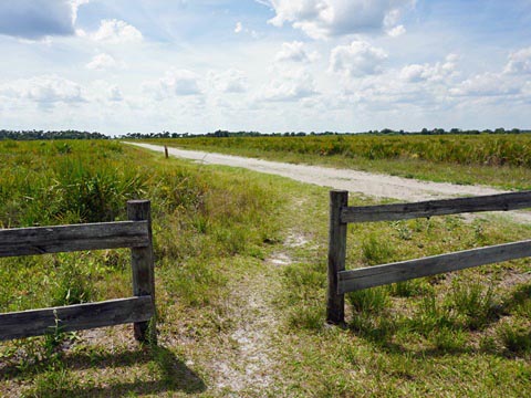 Kissimeee Prairie Preserve State Park, Florida eco-hiking