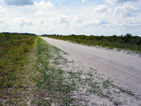 Kissimeee Prairie Preserve State Park, Florida eco-hiking