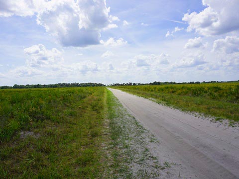 Kissimeee Prairie Preserve State Park, Florida eco-hiking