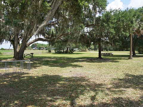 Kissimeee Prairie Preserve State Park, Florida eco-hiking