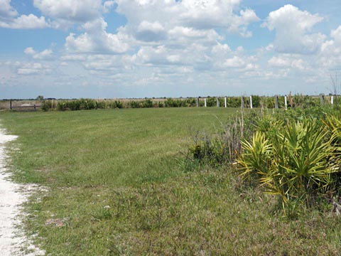 Kissimeee Prairie Preserve State Park, Florida eco-hiking