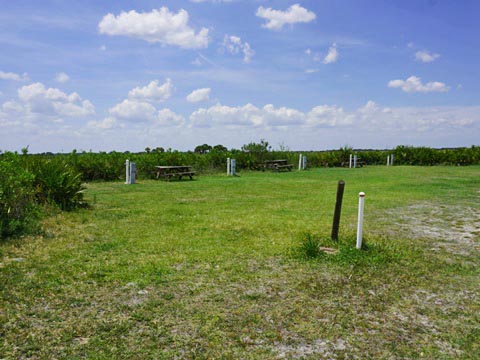 Kissimeee Prairie Preserve State Park, Florida eco-hiking