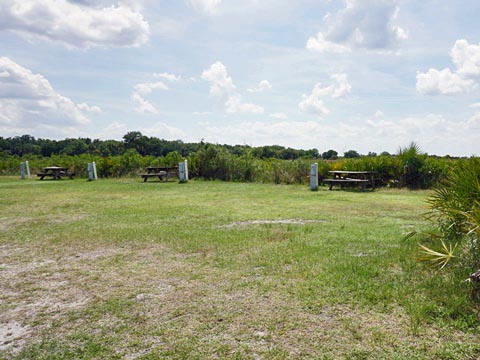 Kissimeee Prairie Preserve State Park, Florida eco-hiking