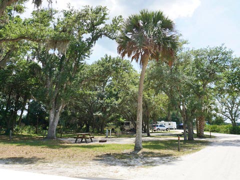 Kissimeee Prairie Preserve State Park, Florida eco-hiking