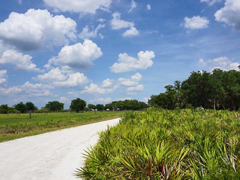 Kissimeee Prairie Preserve State Park, Florida eco-hiking