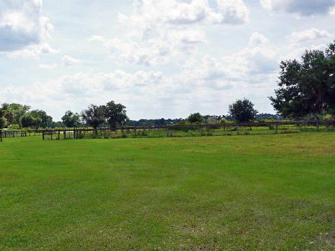 Kissimeee Prairie Preserve State Park, Florida eco-hiking