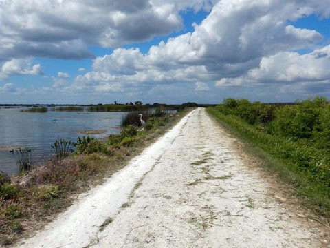 Lake Apopka Loop Trail