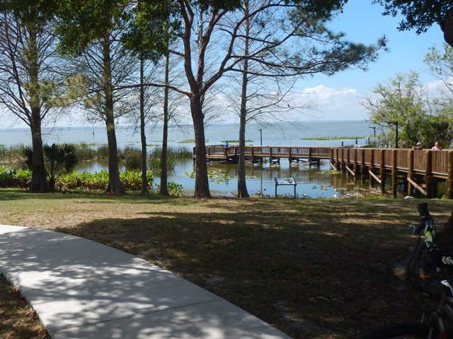 Lake Apopka Loop Trail