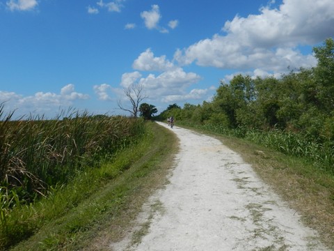 Lake Apopka Loop Trail