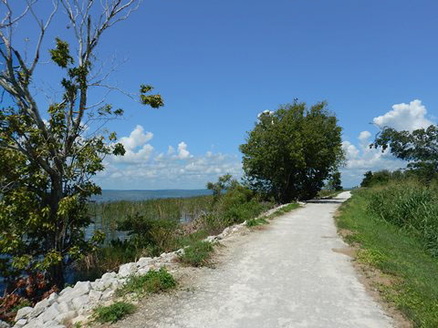 Lake Apopka Loop Trail