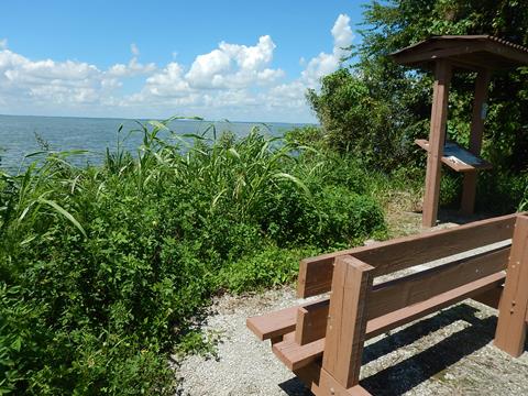 Lake Apopka Loop Trail