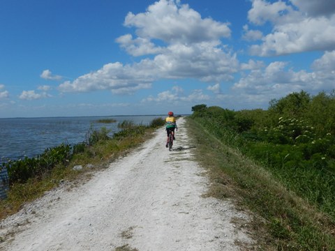 Lake Apopka Loop Trail