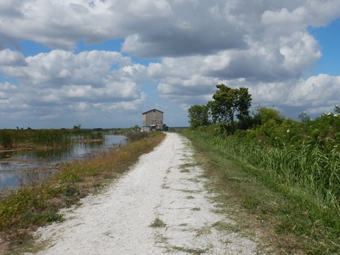 Lake Apopka Loop Trail