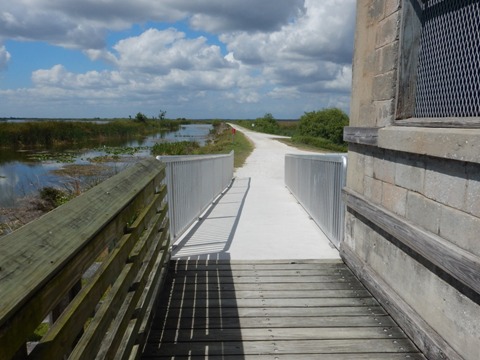 Lake Apopka Loop Trail