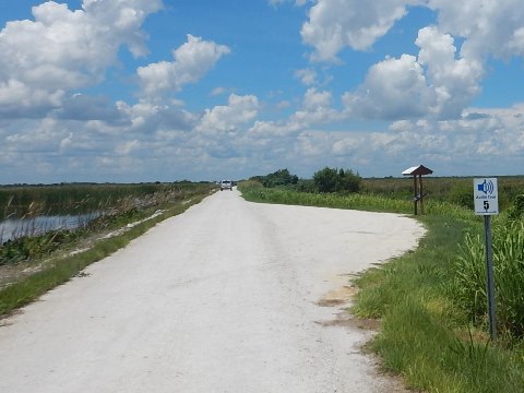 Lake Apopka Loop Trail