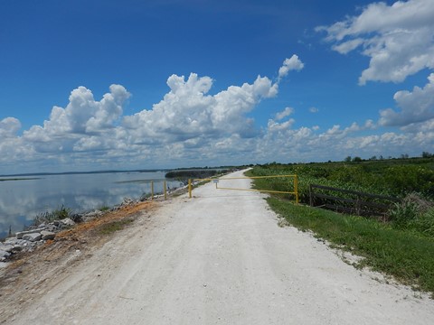 Lake Apopka Loop Trail