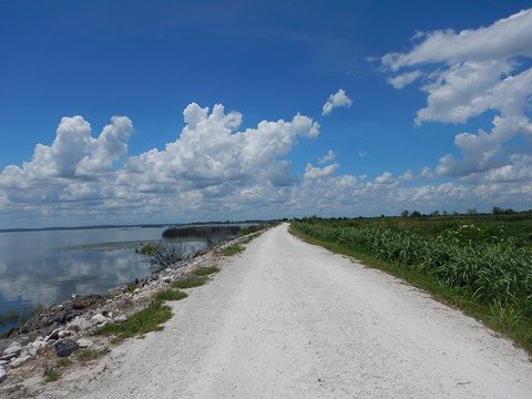 Lake Apopka Loop Trail