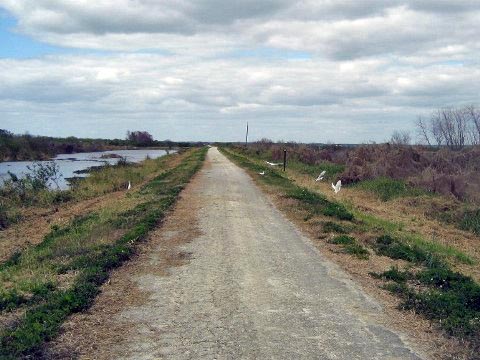 Lake Apopka Loop Trail