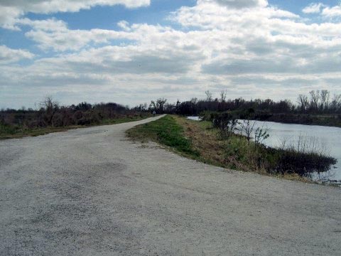 Lake Apopka Loop Trail