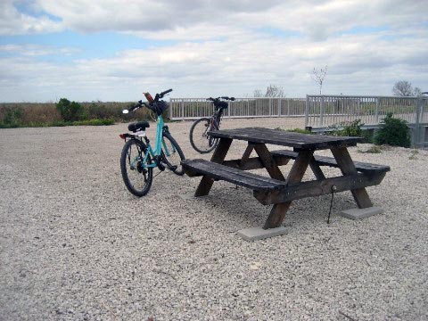 Lake Apopka Loop Trail