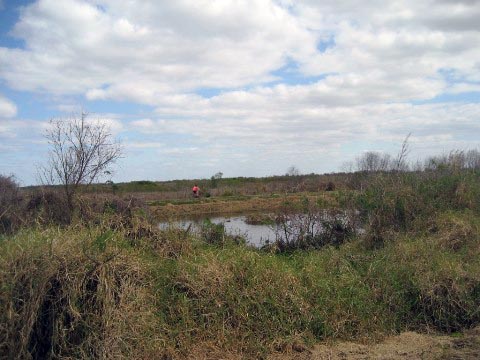 Lake Apopka Loop Trail