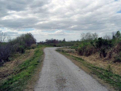 Lake Apopka Loop Trail